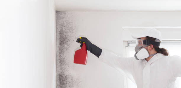 Health and Safety Mold Remediation